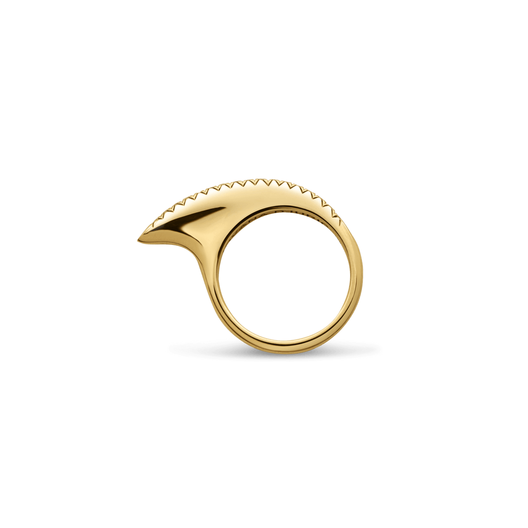 XSmall Black Diamond Ridge Slice 18K