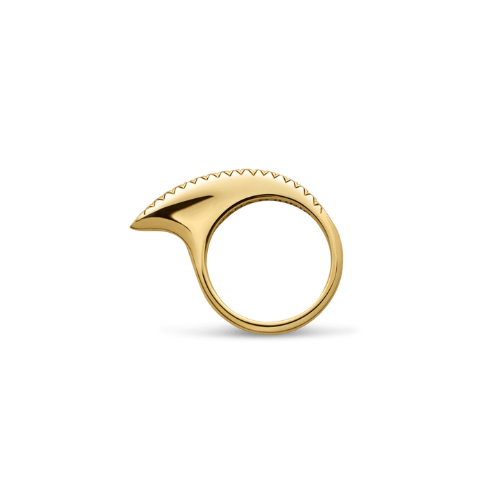 XSmall Black Diamond Ridge Slice 18K