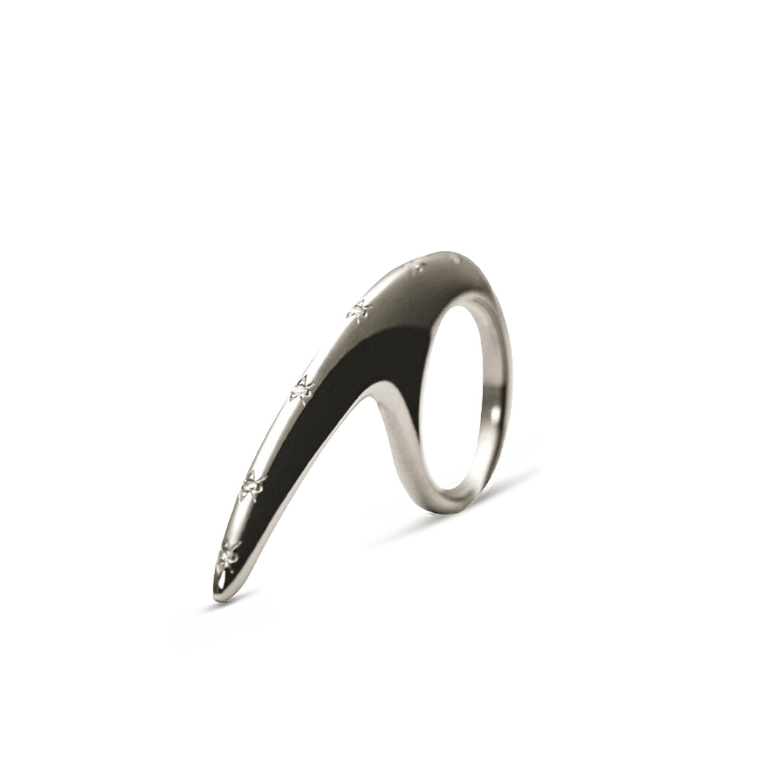 Large Sprinkle Slice Silver