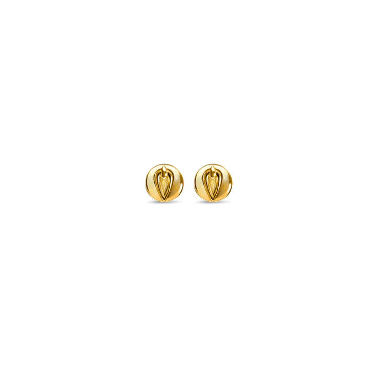 Pussy Prophecy Disc Earrings