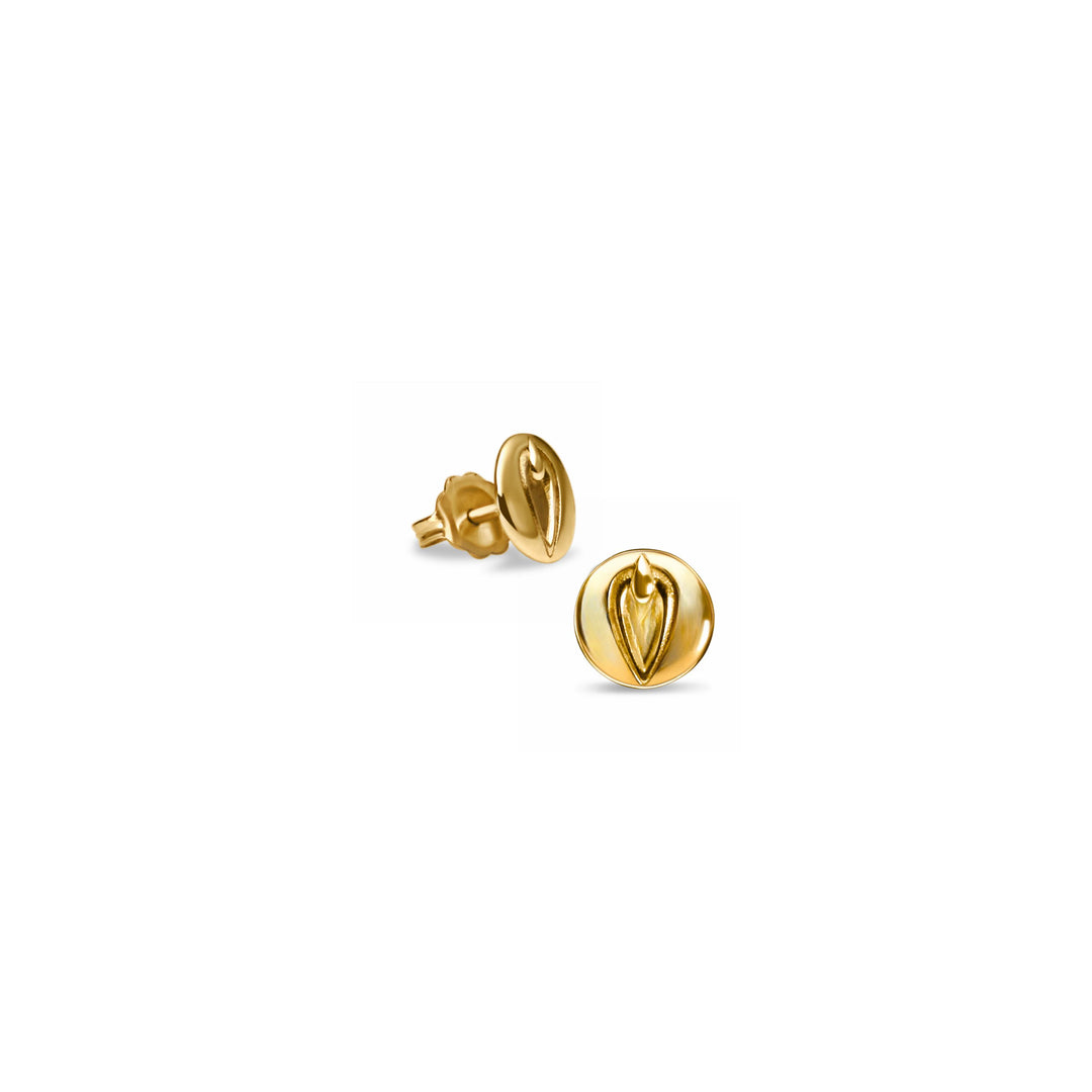 Pussy Prophecy Disc Earrings