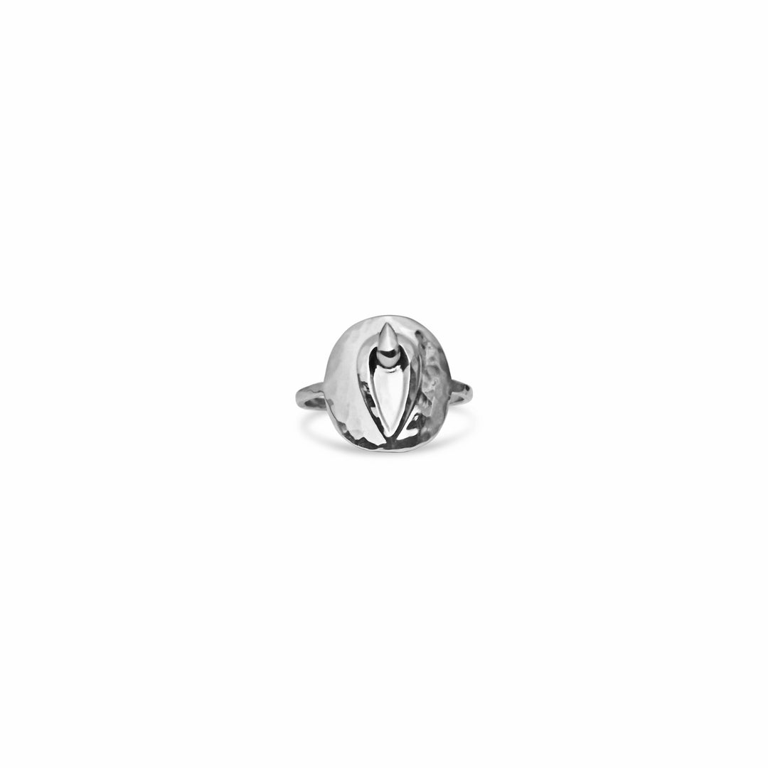 Pussy Prophecy Disc Ring Silver
