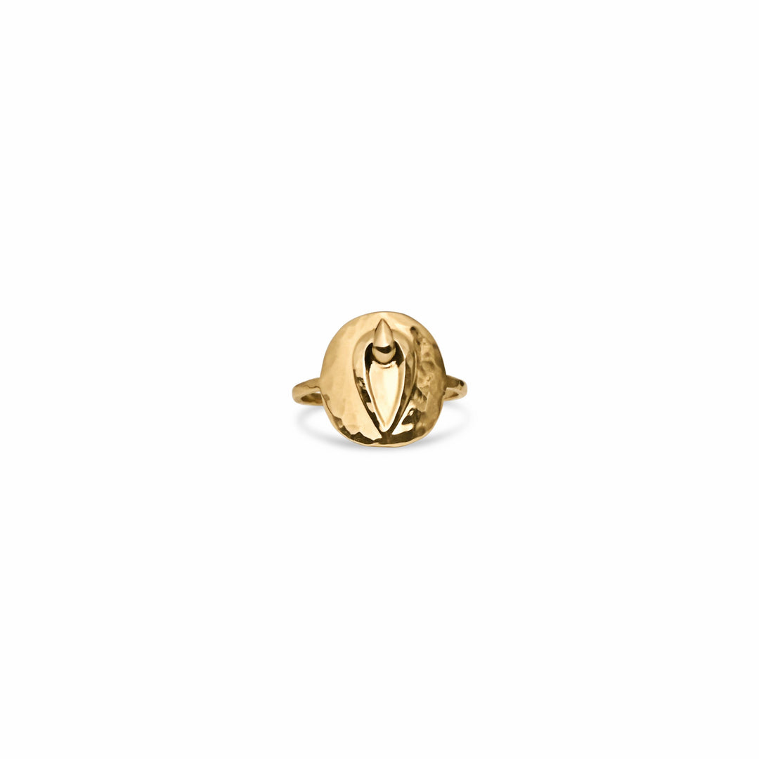 Pussy Prophecy Disc Ring