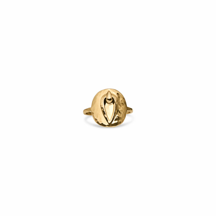 Pussy Prophecy Disc Ring