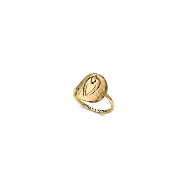Pussy Prophecy Disc Ring