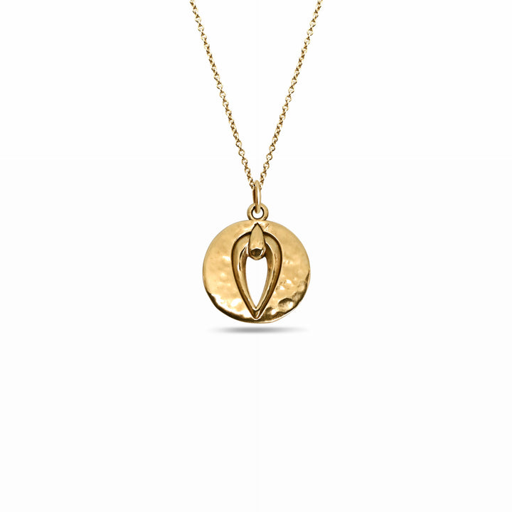 Pussy Prophecy Hammered Medallion