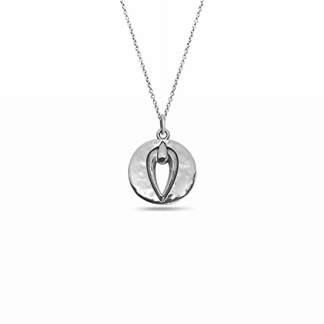 Pussy Prophecy Hammered Medallion Silver
