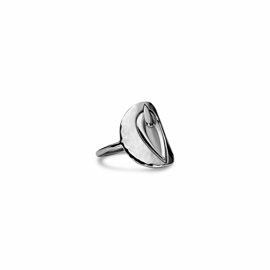 Pussy Prophecy Medallion Ring Silver