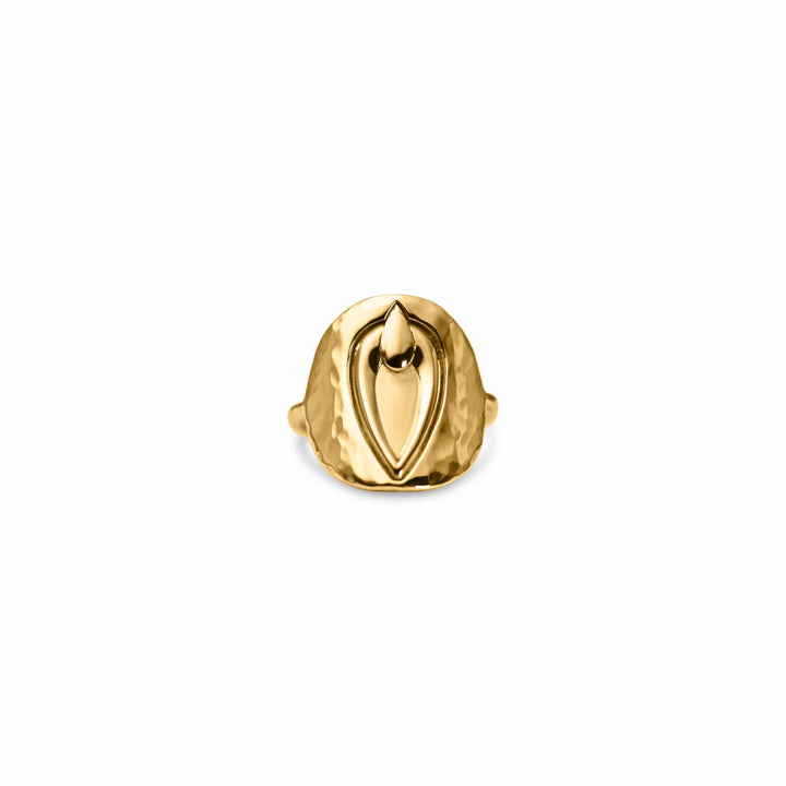 Pussy Prophecy Medallion Ring