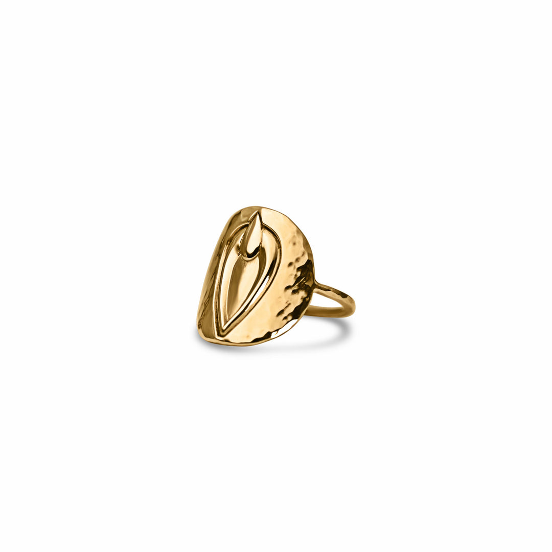 Pussy Prophecy Medallion Ring