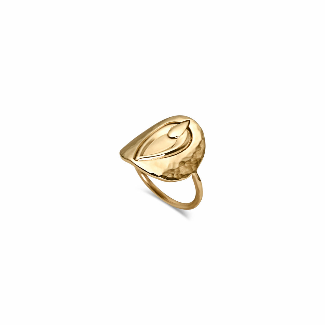 Pussy Prophecy Medallion Ring