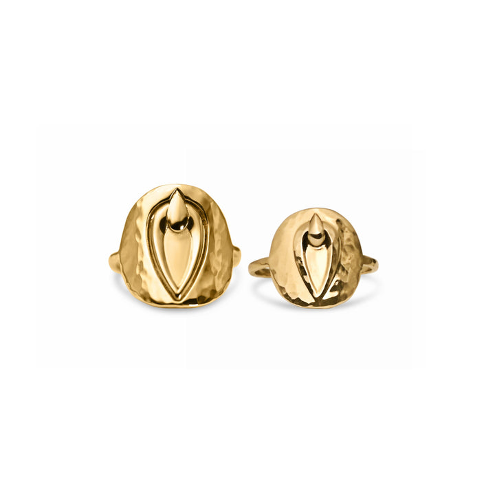 Pussy Prophecy Medallion Ring