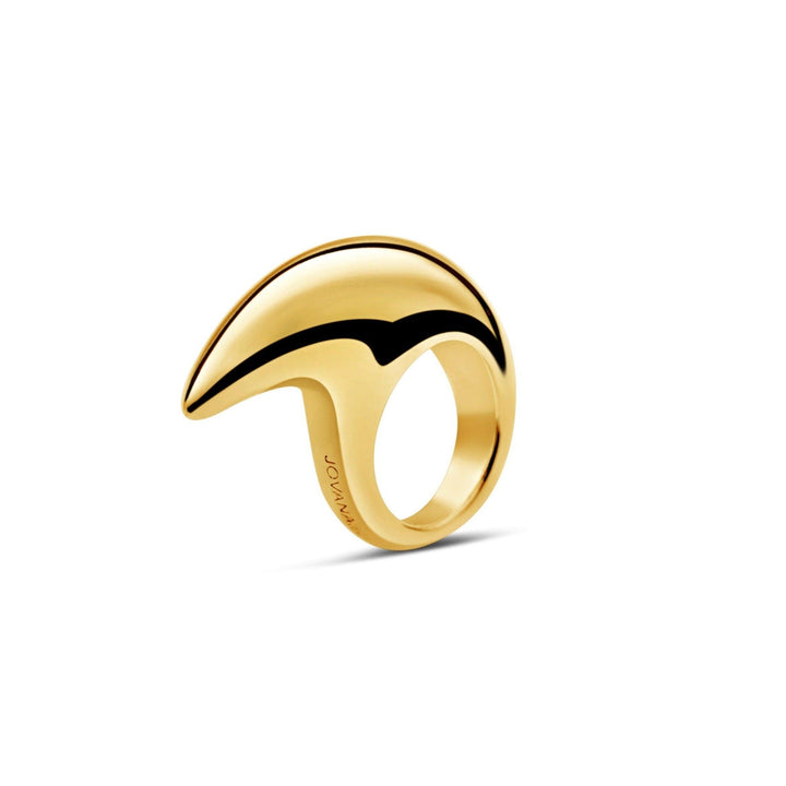 Large Crescent Ring 18K