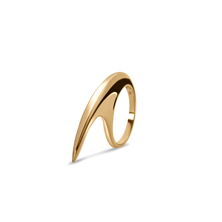 Medium Slice Ring 18K