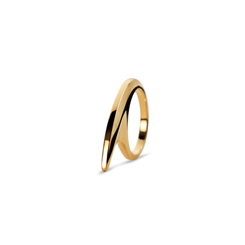 Small Slice Ring 18K