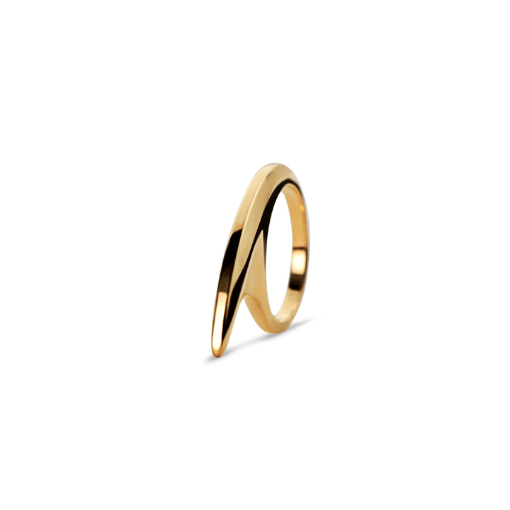 Small Slice Ring 18K