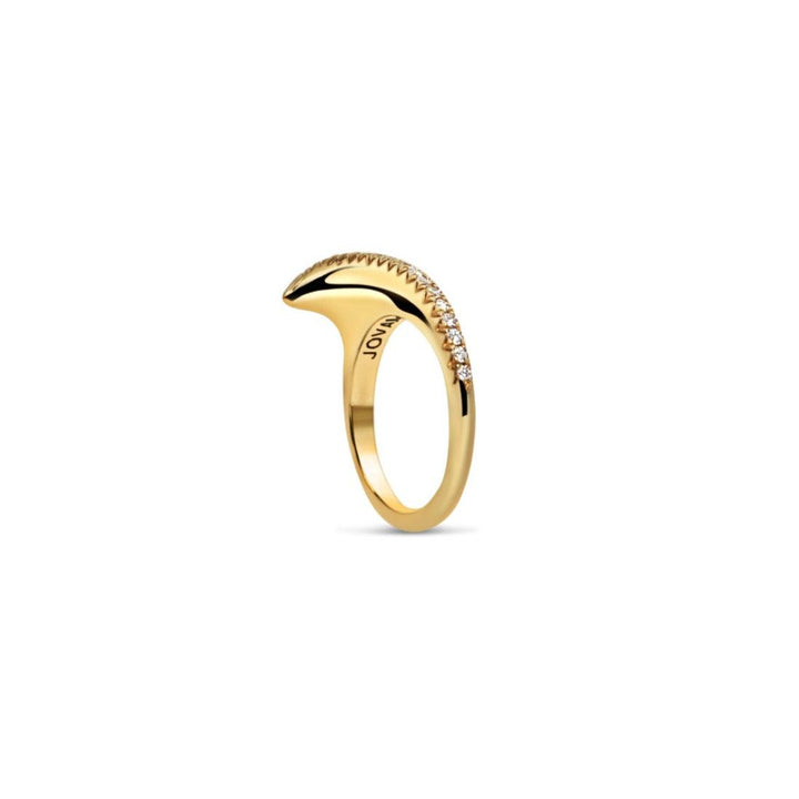Small Diamond Ridge Slice 18K