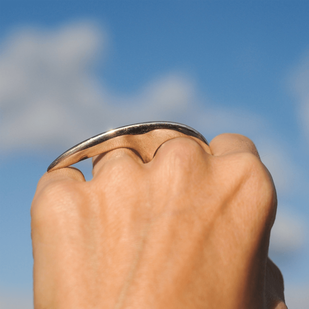 Large Slice Ring Silver