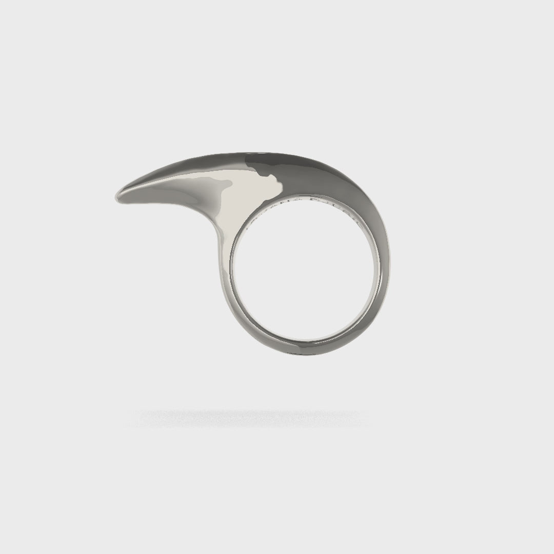 Small Slice Ring Silver