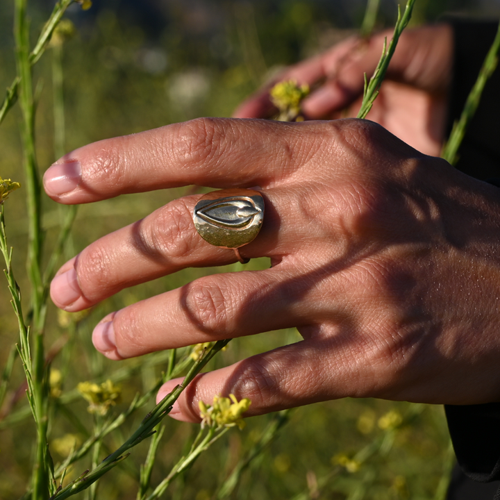 Pussy Prophecy Medallion Ring