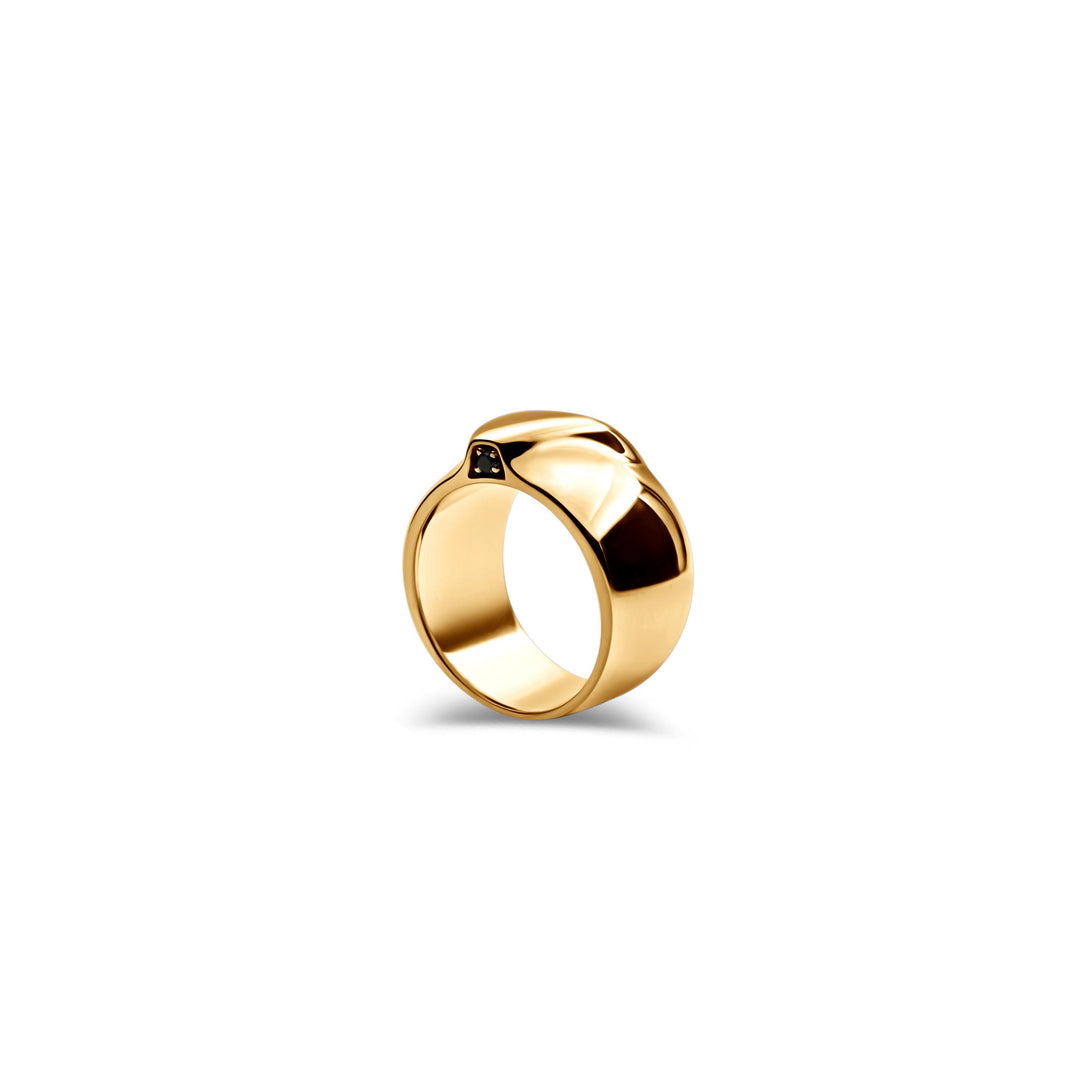 Guardian Ring Gold
