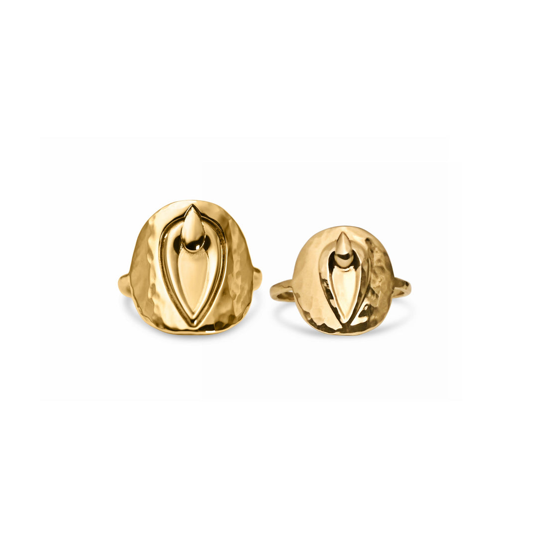 Pussy Prophecy Disc Ring