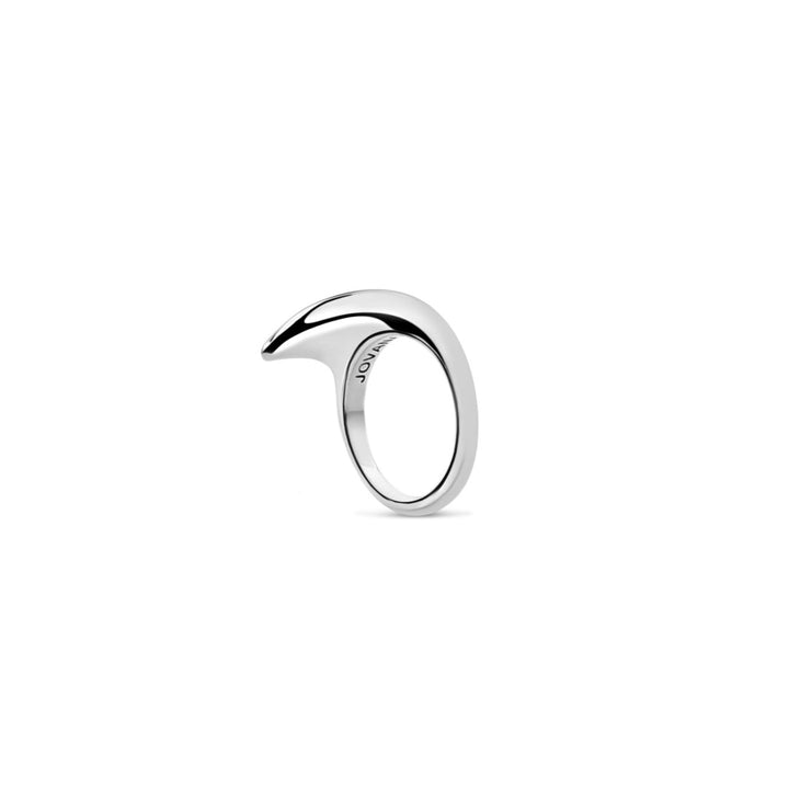 Small Slice Ring Silver